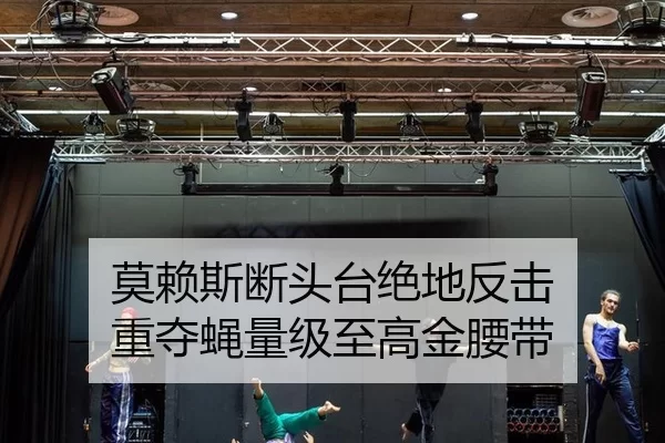 mo-lai-si-duan-tou-tai-jue-di-fan-ji-zhong-duo-ying-liang-ji-zhi-gao-jin-yao-dai-2-805.jpg
